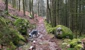 Randonnée Marche Le Tholy - Sentier de la Roche Au Blaireau depuis le gîte  - Photo 3