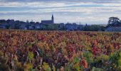 Trail Walking Vauxrenard - Itinérant Beaujolais rouge étape 6 Foretal - Macon gare TGV - Photo 11