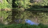 Tocht Noords wandelen Sainte-Anne - Saint anne la boucle  le groupe  - Photo 2