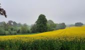 Tour Wandern Havelange - TOUR OSSOGNE-HAVELANGE-BORMENVILLE-MAHILOUX-OSSOGNE - Photo 2