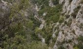 Tour Wandern Évenos - Gorge du Destel - Photo 4