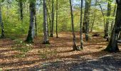 Tour Elektrofahrrad Saint-Clément - sortie vtt 01112022 manonviller - Photo 3