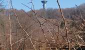 Tour Wandern Kelmis - 2022-01-18_14h17m25_kelmis - Photo 2