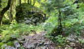 Randonnée Marche Saint-Pierre-d'Entremont - La Croix de l’Alpe 10,7 km - Photo 8