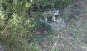 Percorso Marcia Garéoult - l'amarron et son dolmen au départ de Garréoult la Gabelle - Photo 1