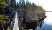 Tour Zu Fuß Kuusamo - Oulangan erämaareitti (Talvireitti) - Photo 9