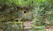 Tour Wandern Sant Ferriol - besaliu 190724 - Photo 19