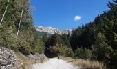 Percorso Marcia Bellecombe-en-Bauges - montagne du charbon : montée par la piste Reposoir. col de bornette . refuge de la combe / retour même itinéraire sauf par les champs et bois depuis bornette  - Photo 2