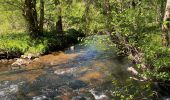 Tour Wandern Gedinne -  Vallée De la Hulle Bourseigne la neuve - Photo 19