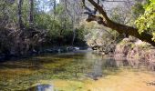 Trail Walking Tourves - SityTrail - Tourves- Le Saut du Cabri - Les gorges du Caramy - Photo 4