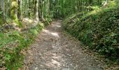 Trail Walking Auvers-Saint-Georges - Auvers-Saint-Georges - Photo 9