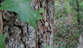 Randonnée Marche Liège - Bois du Sart - Photo 4