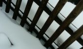 Tocht Sneeuwschoenen Bellefontaine - Bellefontaine-Chalet Gaillard - Photo 1