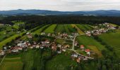 Tour Zu Fuß Ringelai - Verlängerungsmöglichkeit 