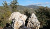 Trail Walking Bormes-les-Mimosas - Barrage du Trapan 10-01-2025 - Photo 5