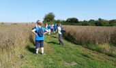 Percorso Marcia Andenne - Seilles - Photo 6