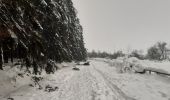 Percorso Marcia Waimes - tout petit tour dans 50 cm de neige fondante - Photo 4