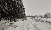 Trail Walking Waimes - tout petit tour dans 50 cm de neige fondante - Photo 4