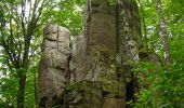 Trail On foot Poppenhausen - Maulkuppe - Rhönrundweg 14 - Photo 2