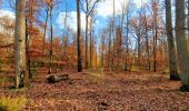 Excursión Senderismo Fontainebleau - Boucle Fontainebleau 19 km au départ de la Croix de Toulouse - Photo 2