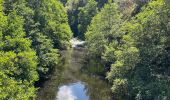 Randonnée Marche Chauchailles - Gorges du Bèz sentier des espagnols - Photo 13