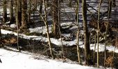 Tour Zu Fuß Nordhalben - Fichtera Weg RT 31 - Photo 1