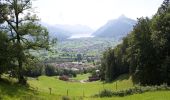 Tocht Te voet Schwyz - Mythenweg - fixme - Photo 1