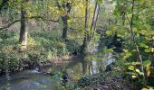 Tour Wandern Brugelette - Brugelette-chemin vers Lens - Cambron casteau - Photo 2