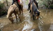 Trail Horseback riding Baccarat - Chez Alex mercredi 21 février 24 Mirador  - Photo 6