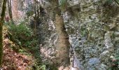 Excursión Senderismo Omblèze - Canyon des gueulards - Photo 6