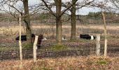 Tour Wandern Belœil - Stambruges, Beloeil, les Ecacheries, mer de sable, Stambruges - Photo 8