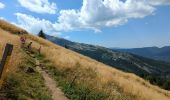 Trail Walking Villard-de-Lans - Villard de Lans Conservatia > col Vert - Photo 1