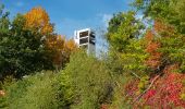 Percorso Marcia Eupen - Barrage d'Eupen  - Photo 6