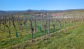 Trail Walking Rosheim - Rosheim Rosenwiller Boersch Bischenberg - Photo 20