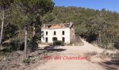 Tour Wandern Saint-Raphaël - Tour de la Barre du Roussivau et du Perthus Occidental - Photo 12