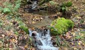 Trail Nordic walking Florenville - Herbeument 9km heen en terug  - Photo 1