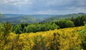 Trail Walking Bertrix - Auby sur Semois 070525 - Photo 4