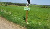 Trail Walking Sainte-Ode - BeauPlateau - Photo 6