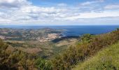 Percorso Marcia Banyuls-sur-Mer - banyuls_ColCerbere_T - Photo 2