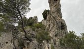 Tour Wandern La Roquebrussanne - La Roquebrussanne dec 2023 - Photo 6