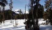 Tour Schneeschuhwandern Taninges - praz 1 - Photo 1