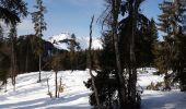 Tocht Sneeuwschoenen Taninges - praz 1 - Photo 1