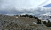 Trail Walking Châtillon-en-Diois - Vallon de Combeau - Chaumailloux  - Photo 4