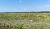 Tocht Wegfiets Le Touquet-Paris-Plage - Le Touquet Vélo  - Photo 2