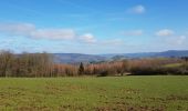 Tour Wandern Stoumont - 2022-02-03_17h52m52_StoumontP14PromenadedessommetsdelaLienne - Photo 9