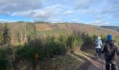 Trail On foot Lierneux - Bras 17 Km - Photo 3