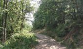 Excursión Senderismo Saint-Nectaire - TOUR DU PUY D' ERAIGNE DEPUIS LE CAMPING 