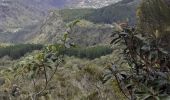 Excursión Senderismo Cilaos - le bloc piton des neiges - Photo 1