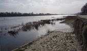 Tour Wandern Bouchemaine - la pointe bouchemaine  - Photo 2