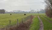 Percorso Marcia Dendermonde - Dendermonde-Alost 21,7 km - Photo 8